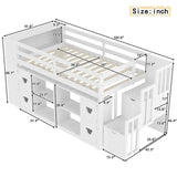 Rue Twin Storage Loft Bed
