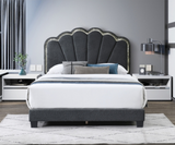 Tamera Bed Only Collection