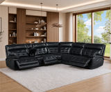 Warner Sectional Collection